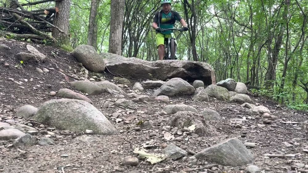 A man is riding a bike down a rocky trail in the woods.