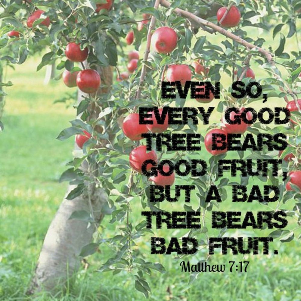 A picture of an apple tree with the words 