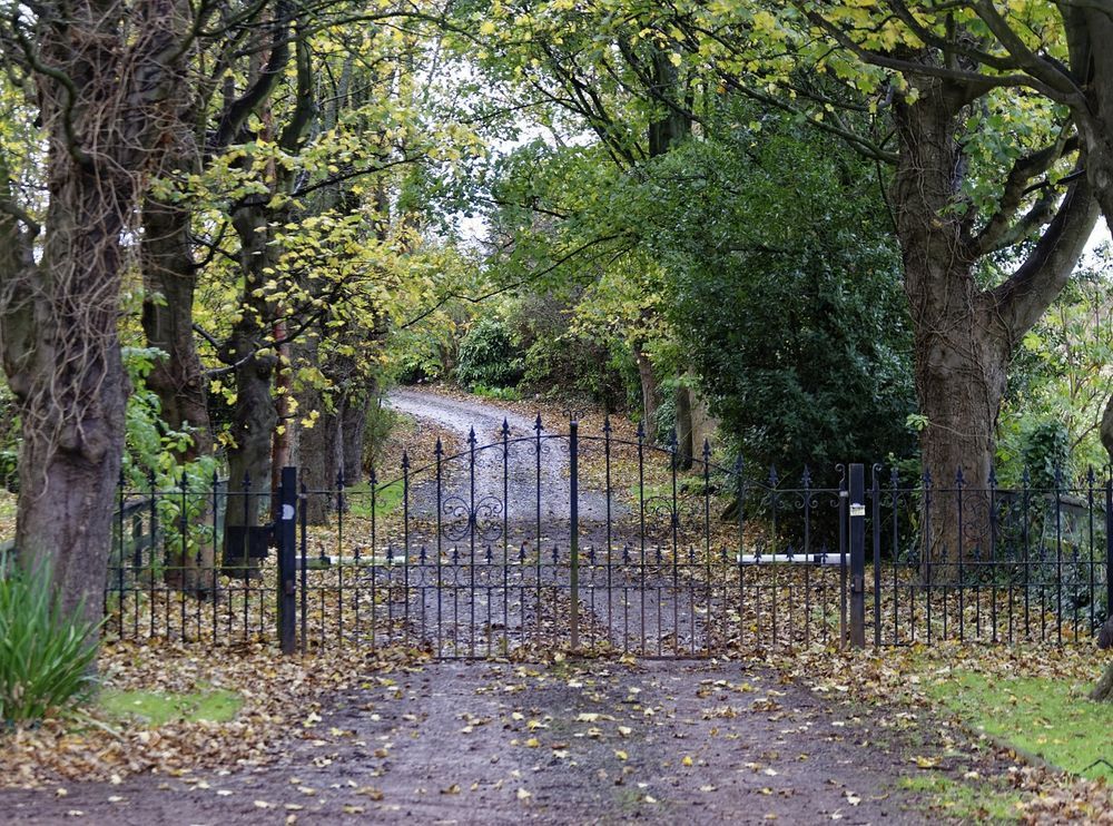 There is a gate in the middle of a road surrounded by trees.