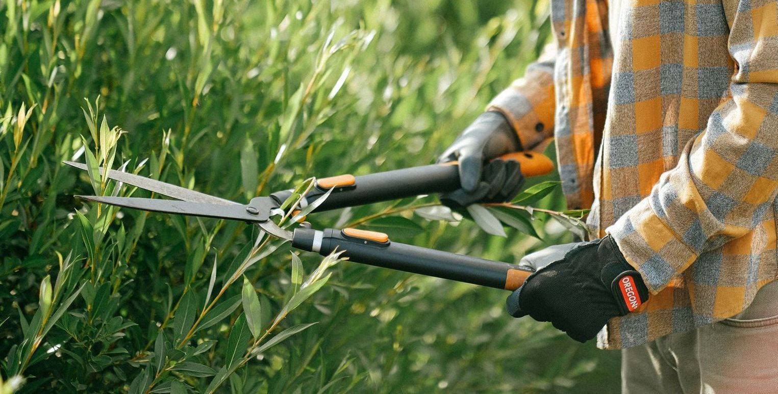 Ein Mann im Karohemd schneidet eine Hecke mit einer Schere.