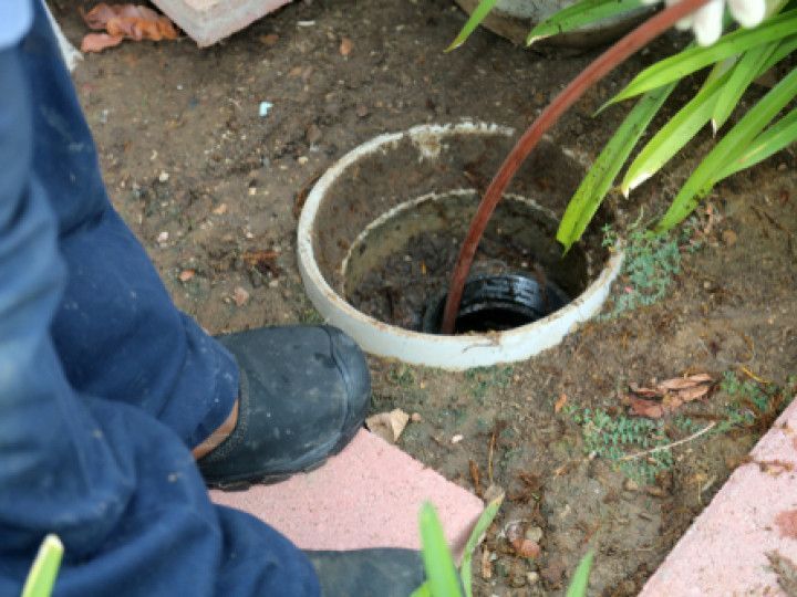 Person unclogging a drainpipe in a garden. A hose is inserted into the pipe; dirt and plants surround it.