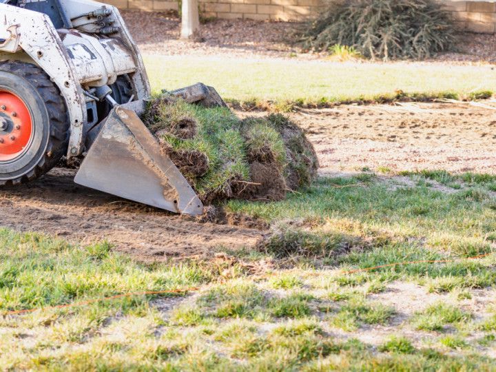 Bobcat removing a patch of sod from a grassy lawn.