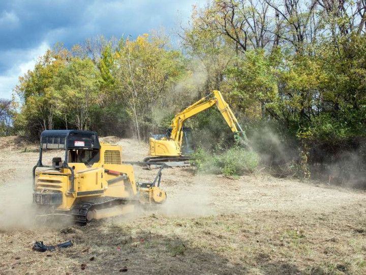 Two yellow construction vehicles clearing brush in a field, trees in the background, dust.