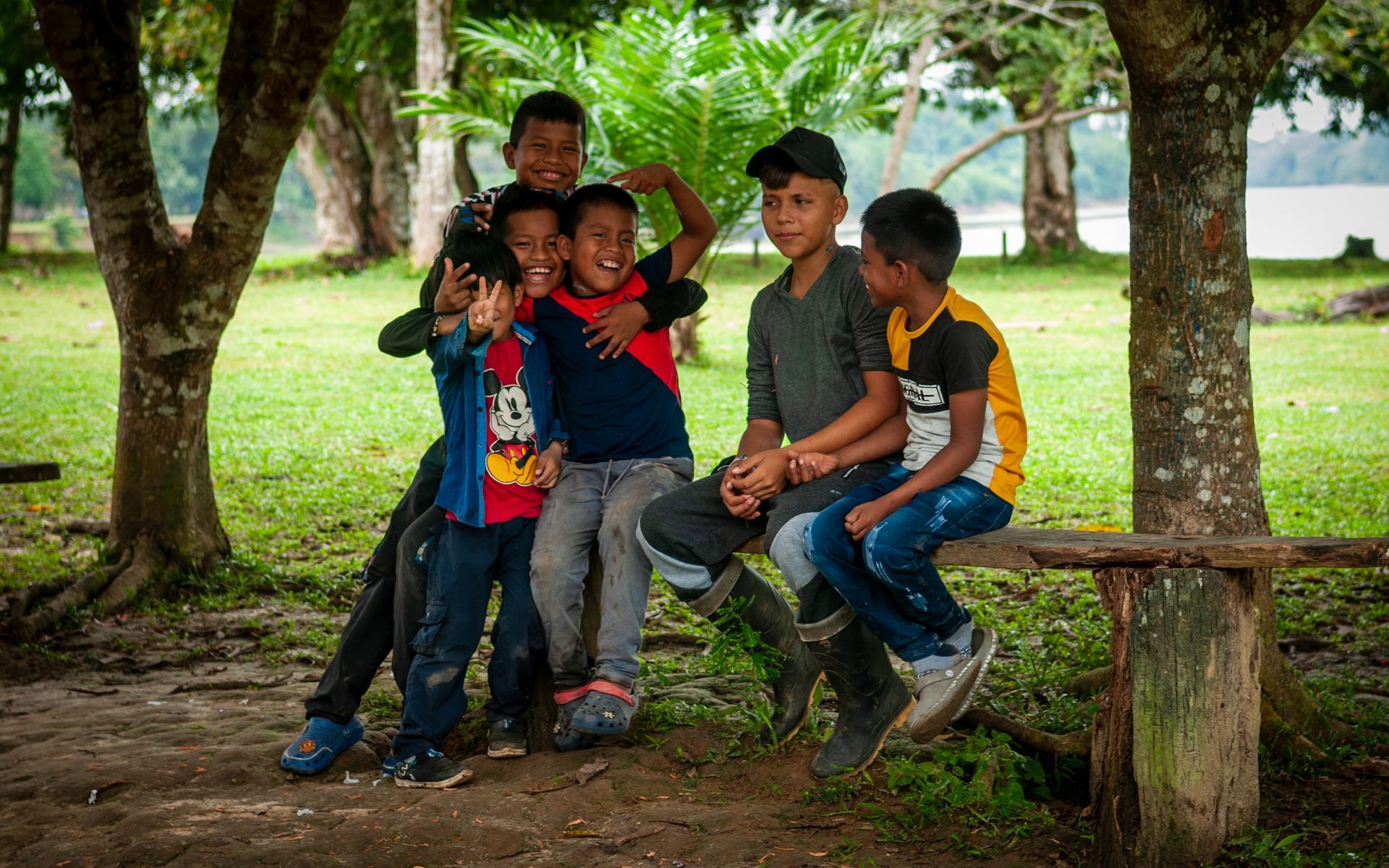 lider en bonos de carbono