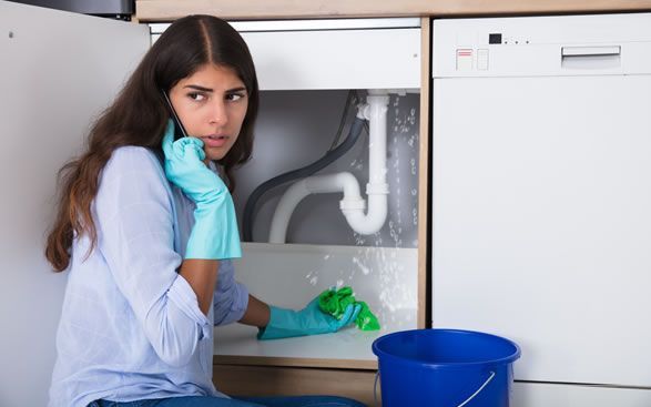 a woman is talking on a cell phone while cleaning a sink .