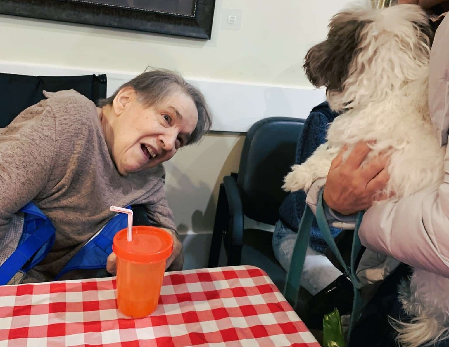 An older person smiles at a small, fluffy dog held by another person across a table with a red and white checkered cloth.