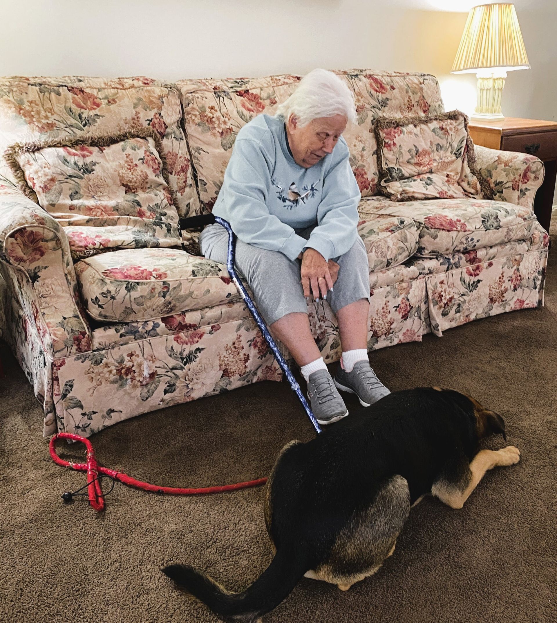 An individual sits on a floral sofa with a blue leash in hand, looking down at a German Shepherd resting on the carpet.