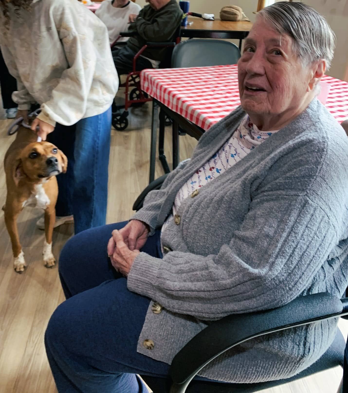 An older person sits in a chair wearing a grey cardigan. Next to them, a person holds a brown dog in a room with tables.