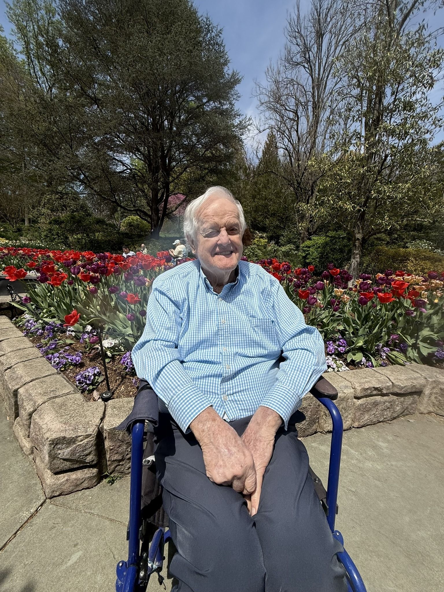 A person sits in a wheelchair in a sunlit garden, smiling in front of a stone-bordered bed of colorful tulips.