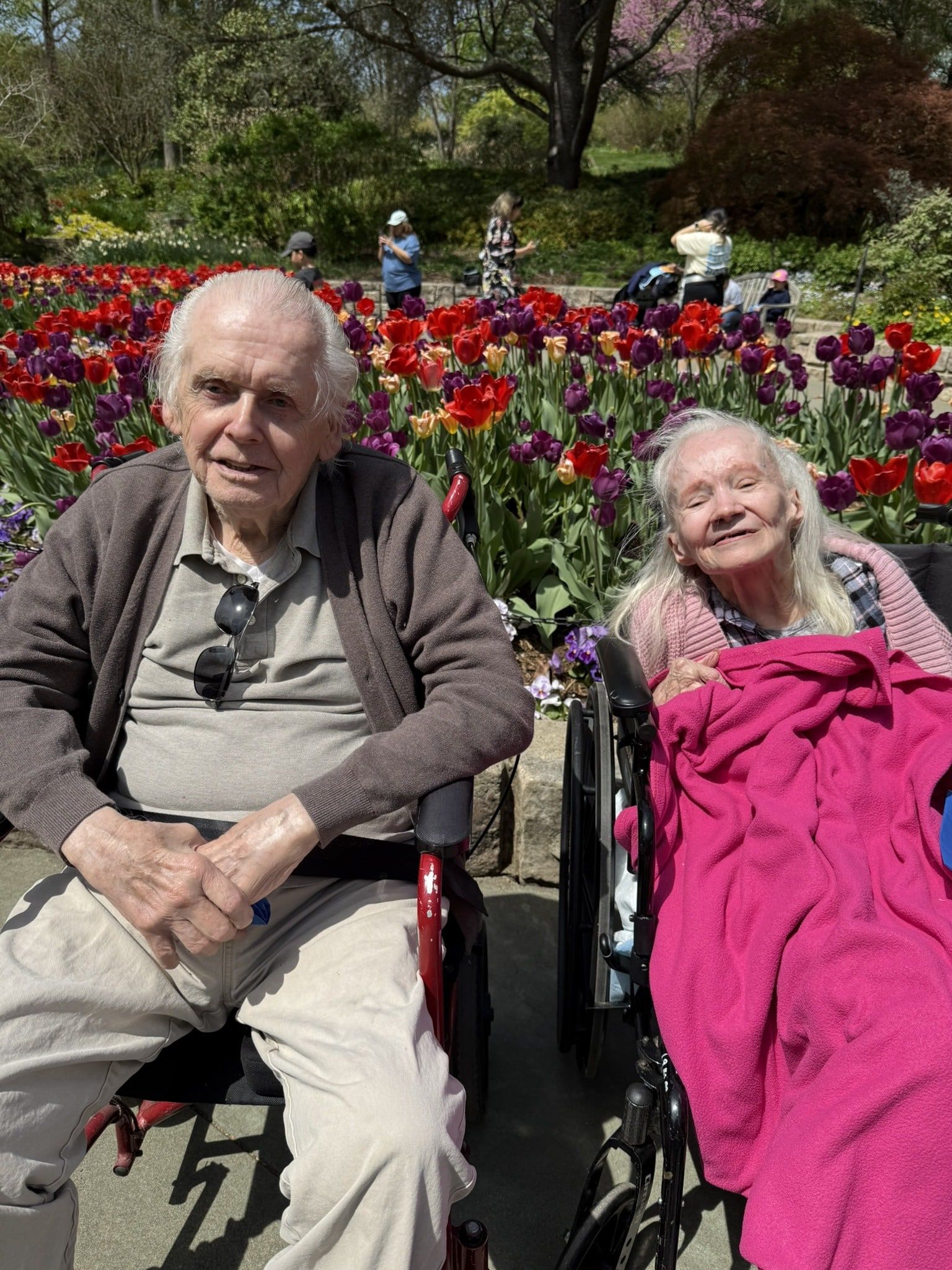 Two people in wheelchairs sitting in front of a colorful tulip garden on a sunny day.