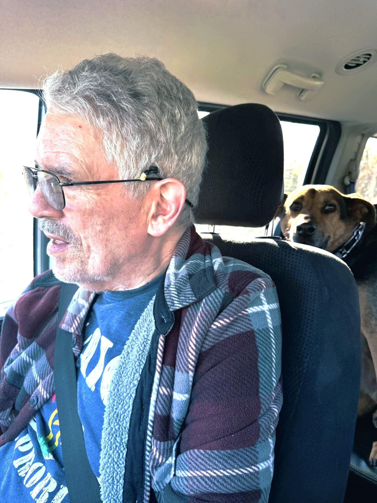 An older man with gray hair and glasses driving a vehicle, with a brown and black dog looking from the back seat.