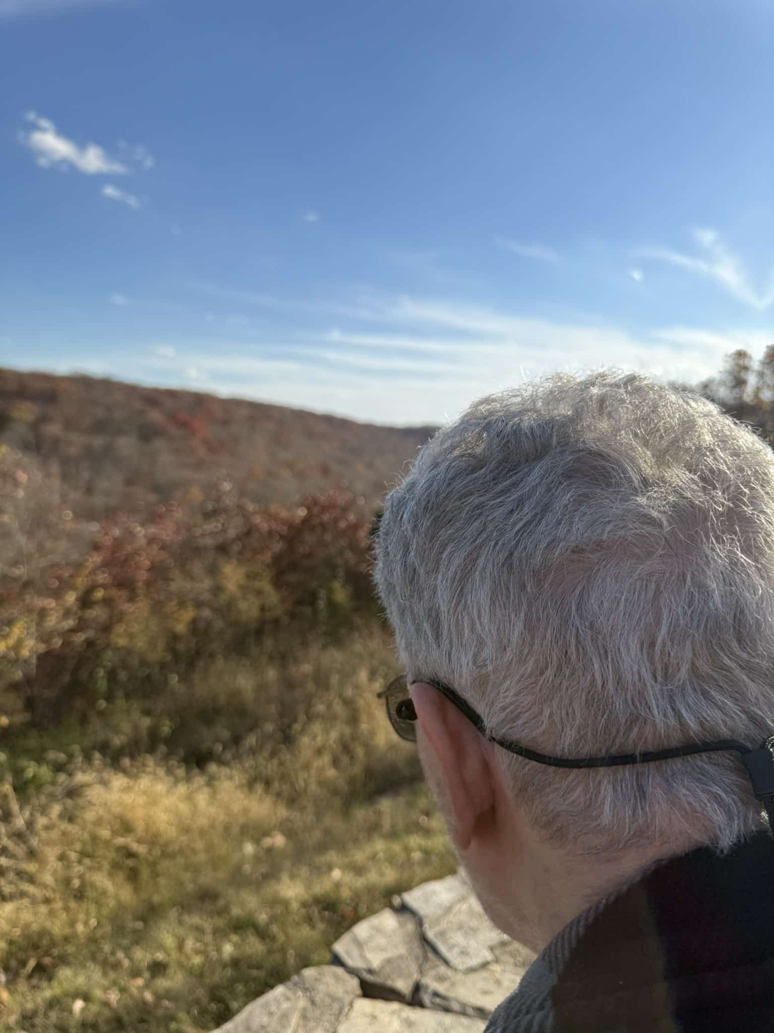 A person with grey hair seen from behind, looking out over a rolling landscape of trees under a bright blue sky.