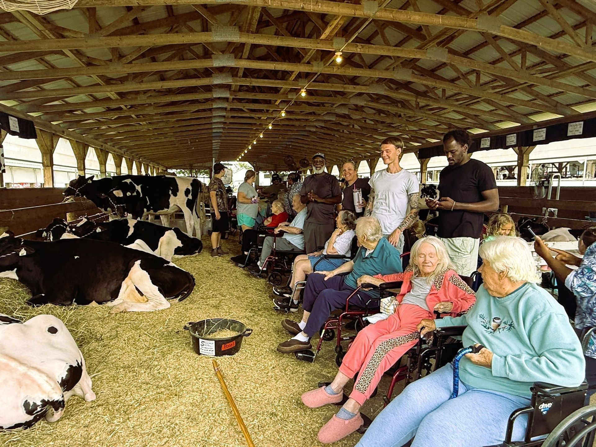 People in a barn sit in wheelchairs and chairs near black and white cows lying in hay.