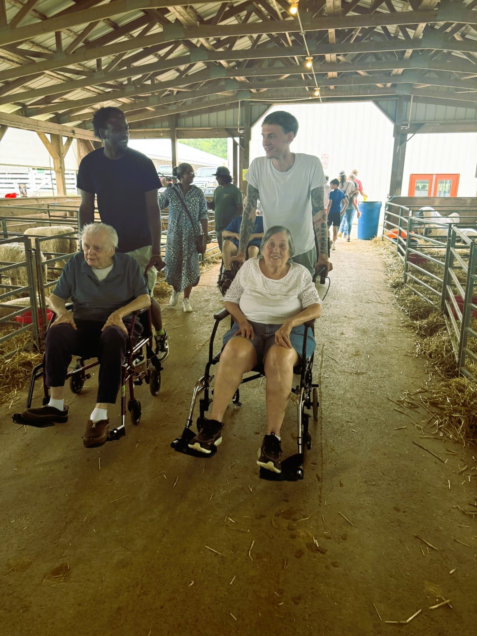 Two people in wheelchairs being pushed by assistants along a dirt path in an open-air barn with metal fencing.