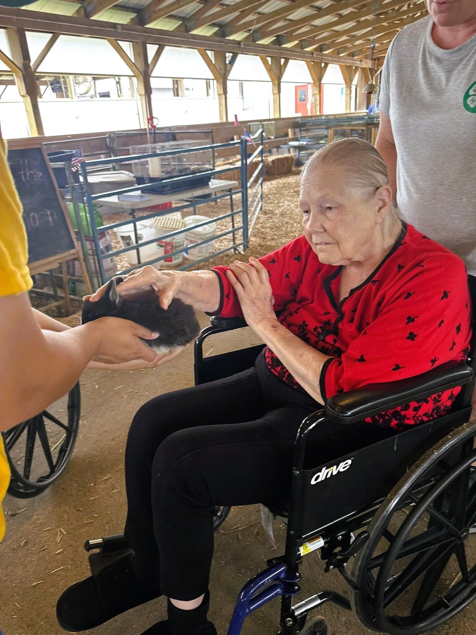 A person in a wheelchair reaches out to pet a small, dark animal held by someone in an agricultural barn setting.