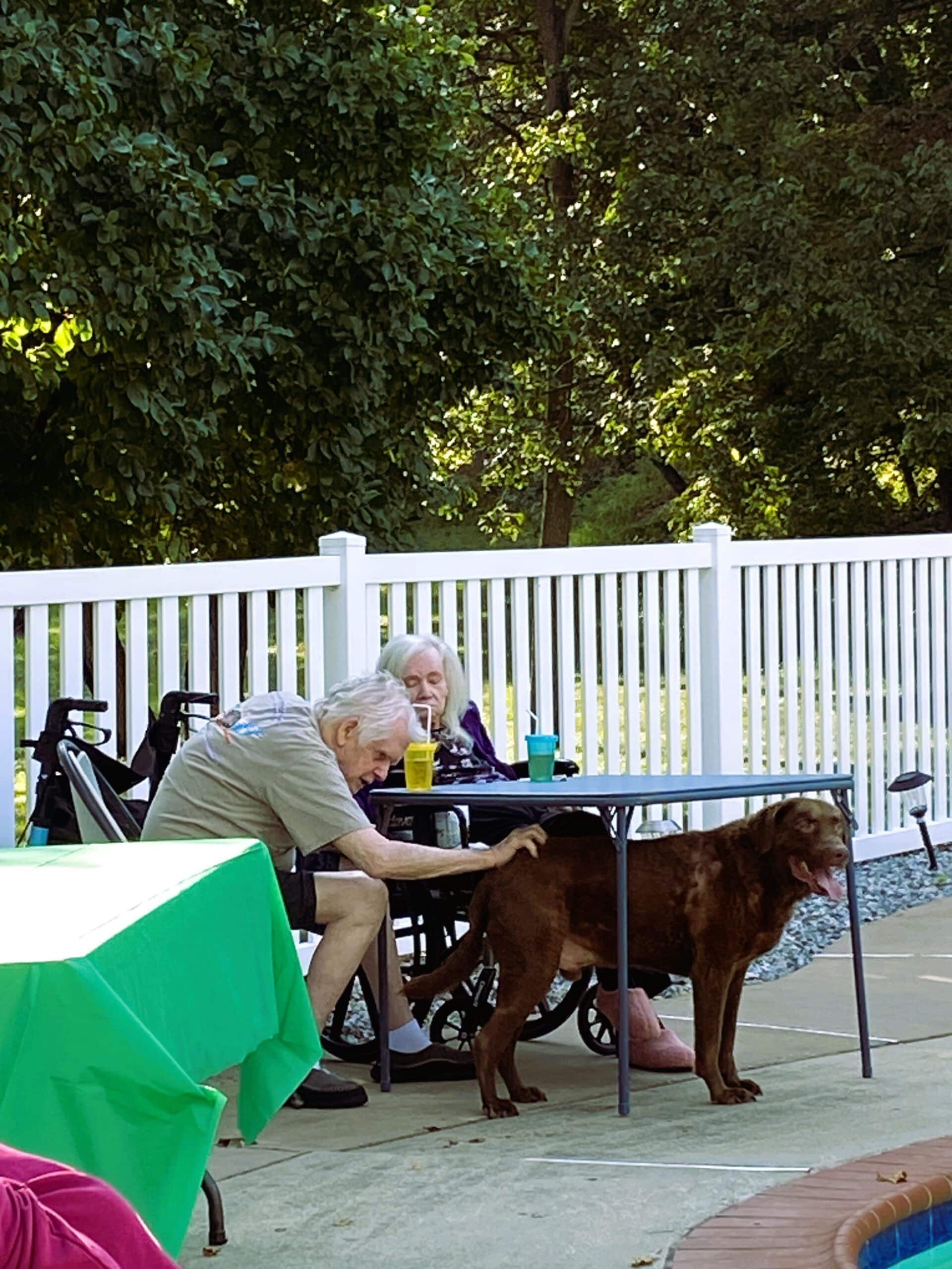 Two people sit at a table outdoors by a pool, one person petting a brown dog standing underneath it.