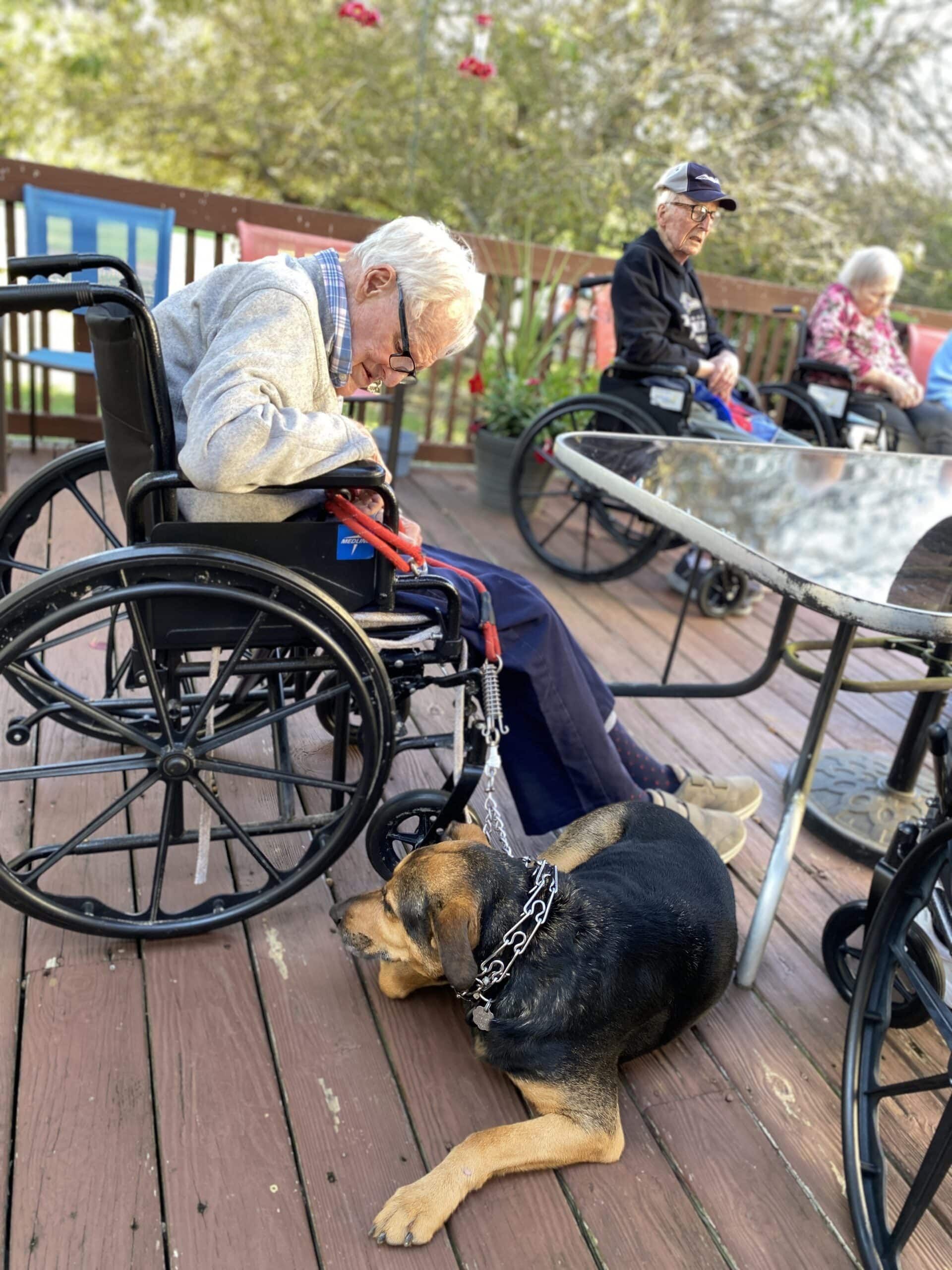 Three individuals in wheelchairs sit on a wooden deck with a dog resting on the floor in the foreground.
