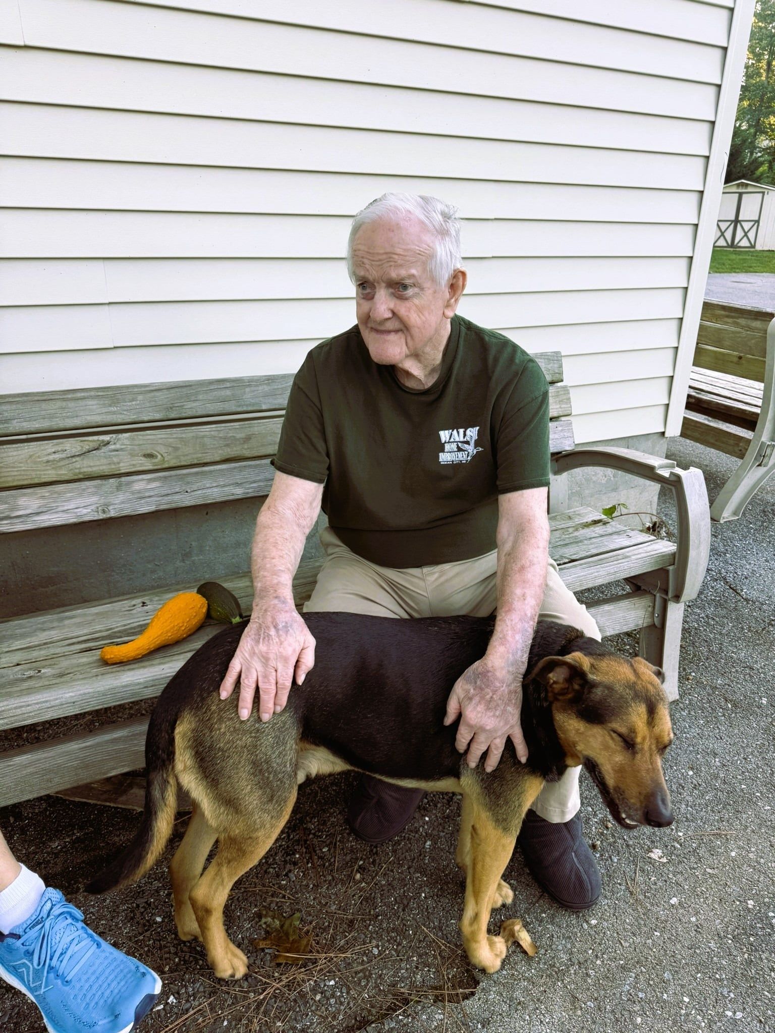 An older man in a green shirt sits on a wooden bench outdoors, resting his hands on a brown and black dog.