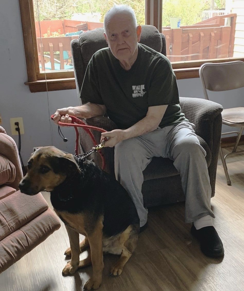 An adult sits in a chair indoors, holding a leash attached to a medium-sized, tan and black dog sitting on the floor.