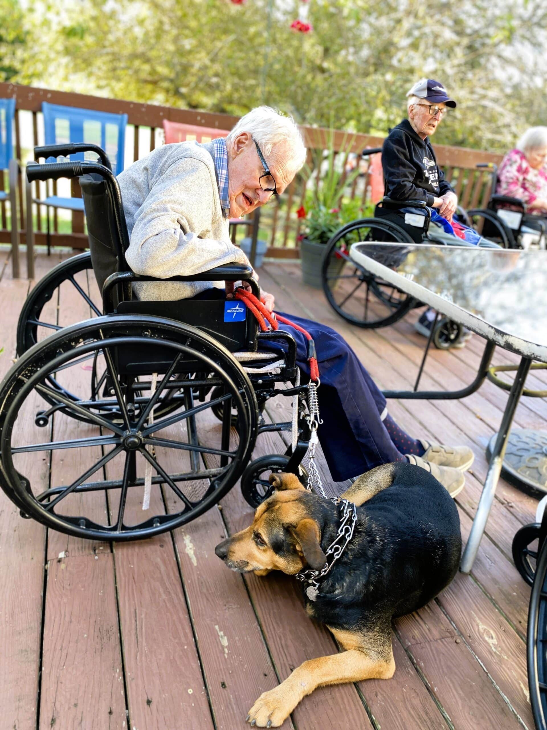 A person in a wheelchair sits on a wooden deck next to a dog wearing a collar, with others in wheelchairs nearby.