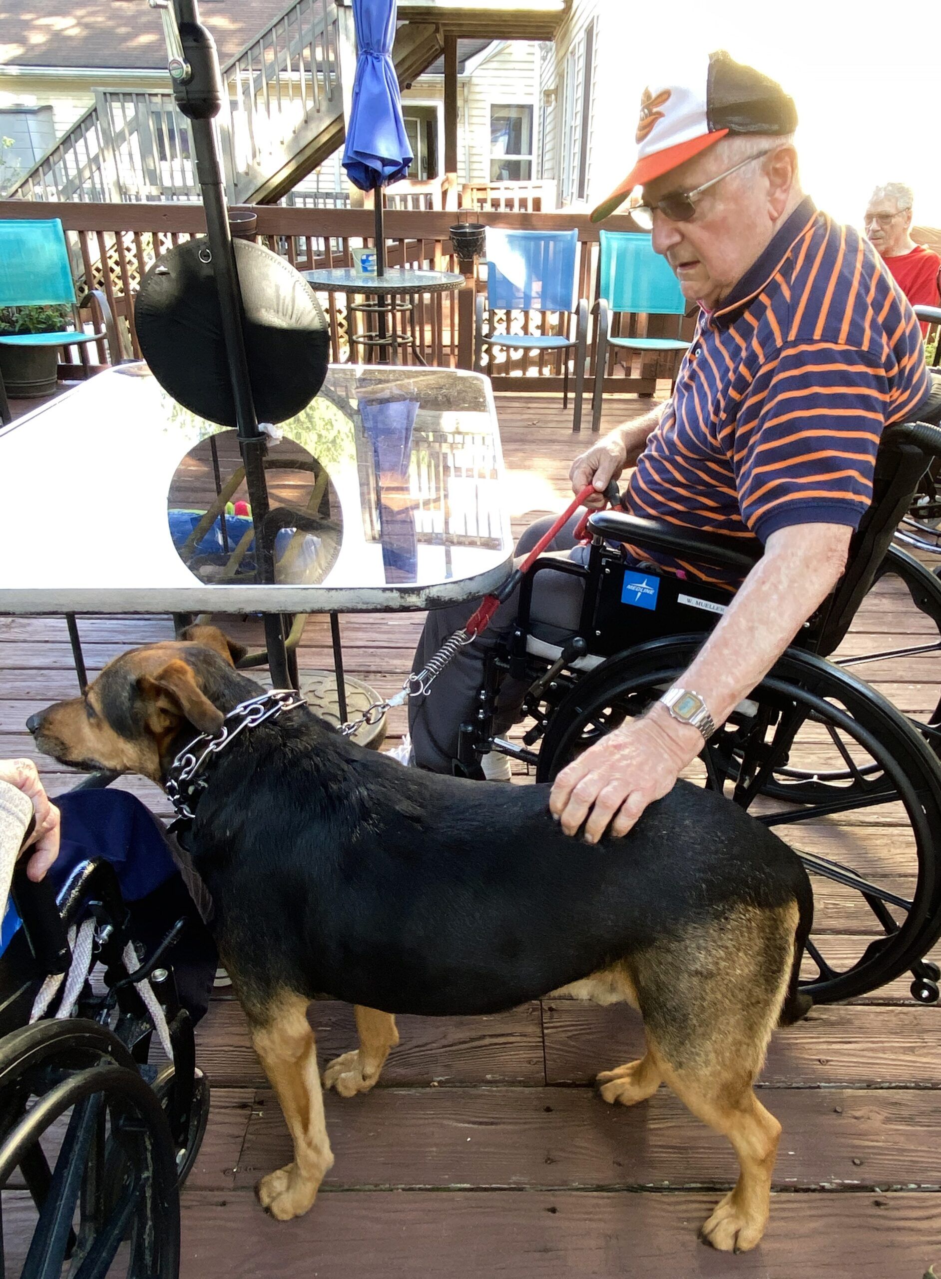 An individual in a wheelchair pets a black and tan dog on an outdoor wooden deck with patio furniture in the background.