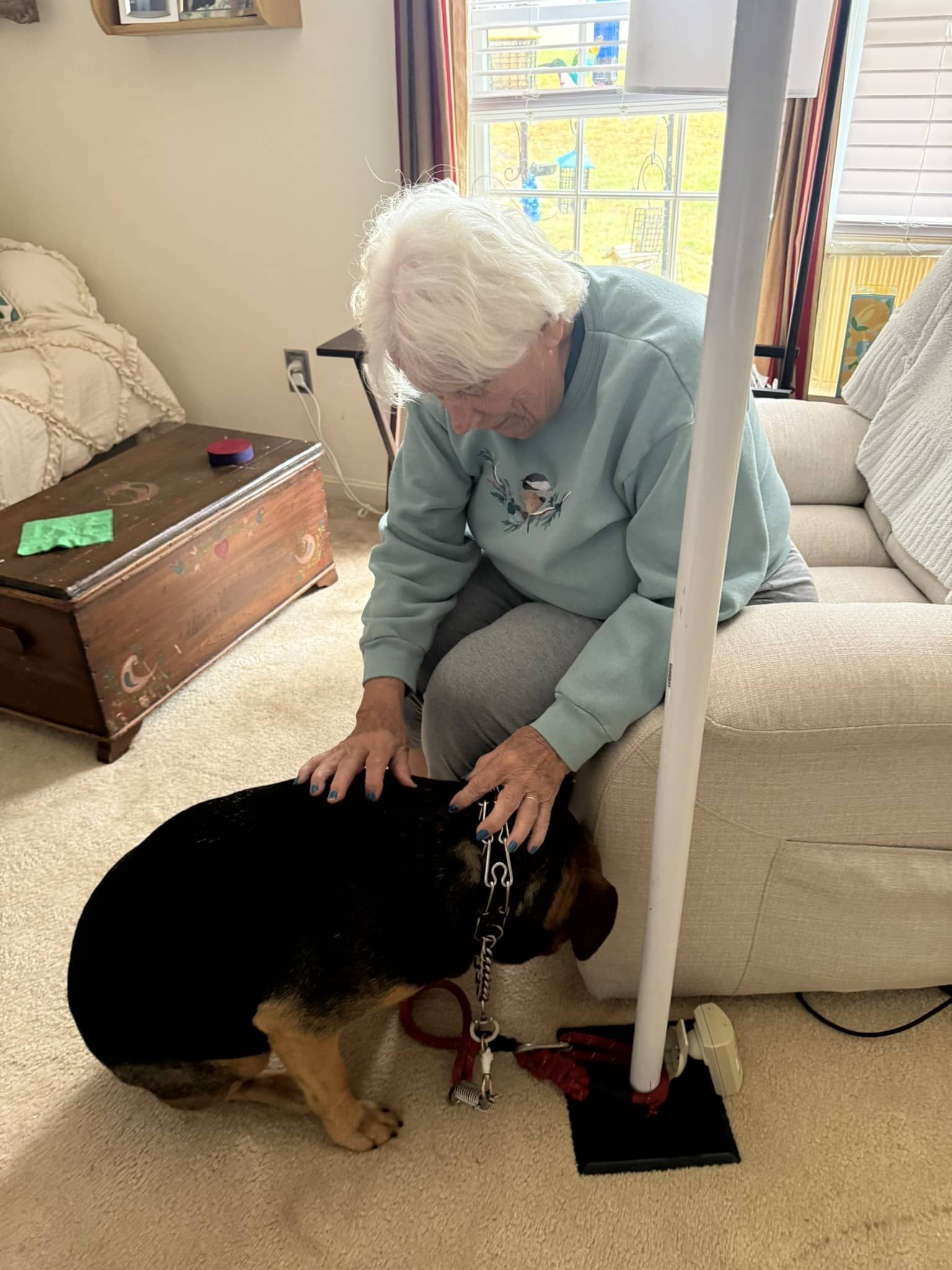 An older person sits on a light-colored sofa, petting a black and tan dog wearing a chain collar and a red leash.