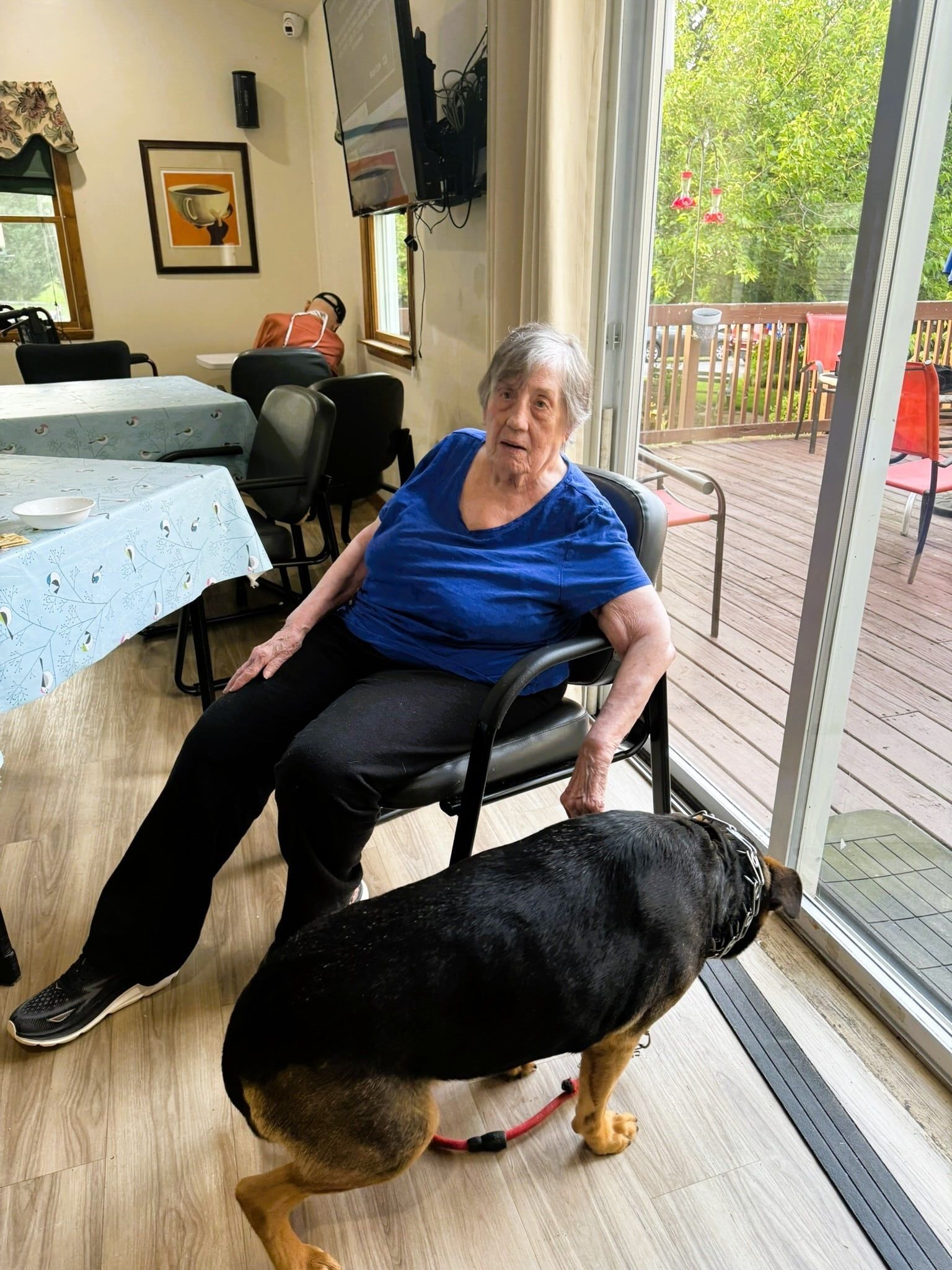 An older person in a blue shirt sits in a chair indoors, gently petting a dog standing next to them by a glass door.