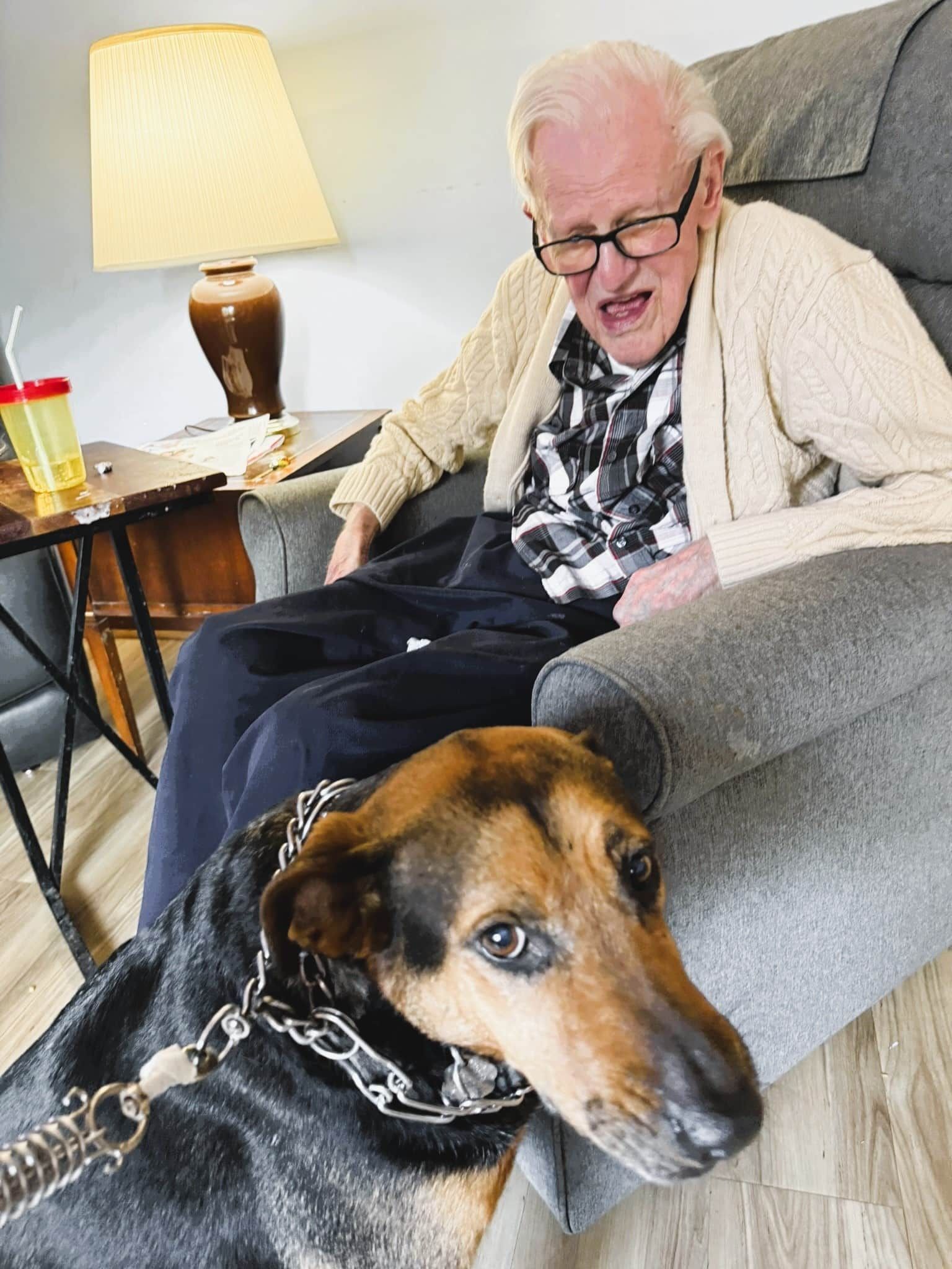 A person with glasses sits in a gray armchair, looking down at a dog with a black and tan coat wearing a metal chain collar.
