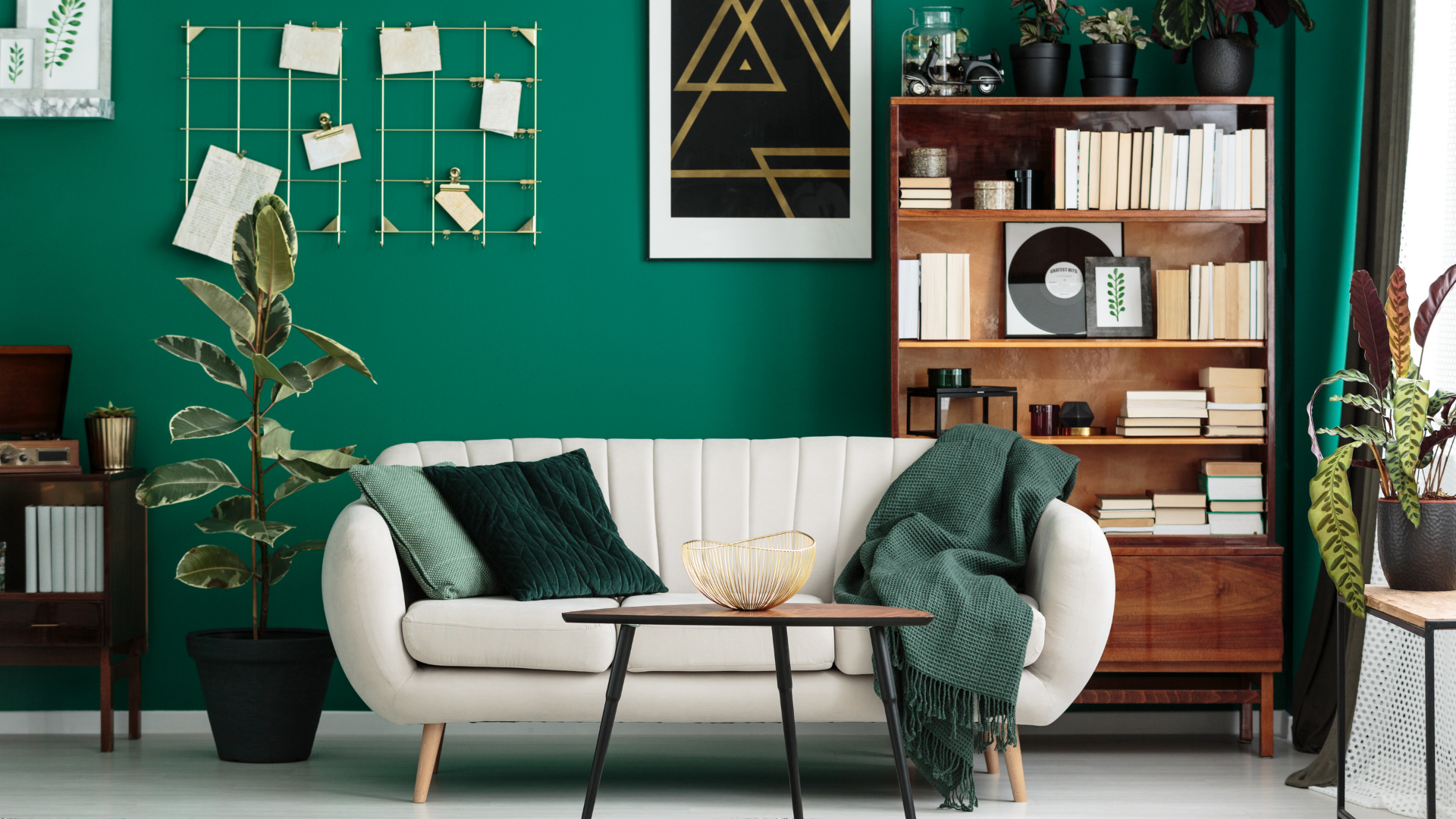 sofa