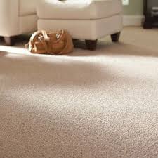 Wall To Wall Carpet Cleaning