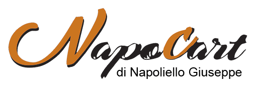Napocart logo