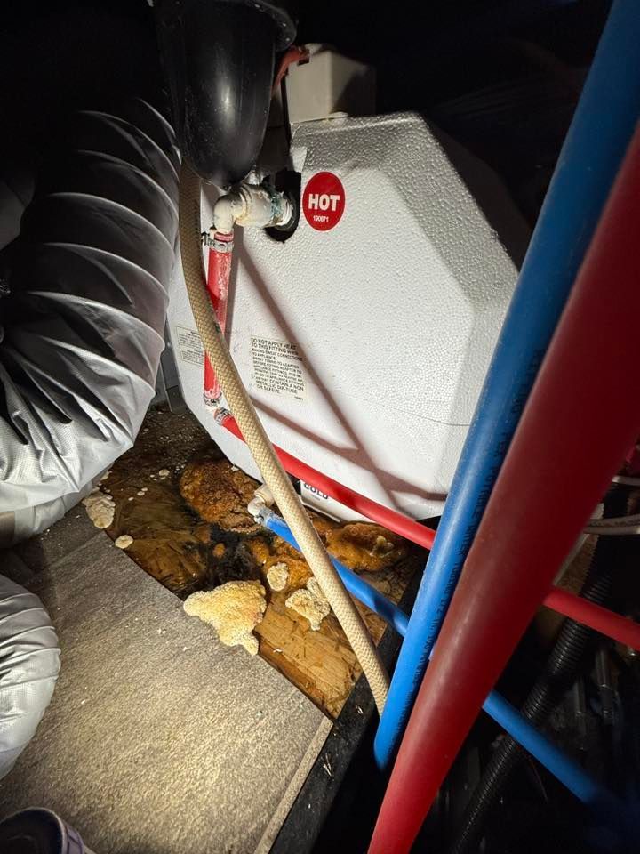 RV water heater with visible leak and water damage on surrounding wood. Red and blue water lines.