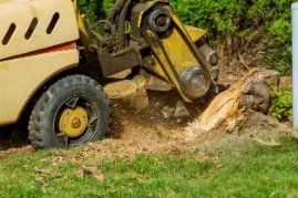 Expert excavation contractor working on a stump removal project in Wollongong NSW.