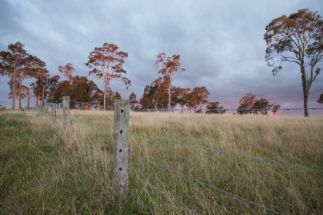 A huge residential land that will be subdivide by the property owners in Wollongong NSW.