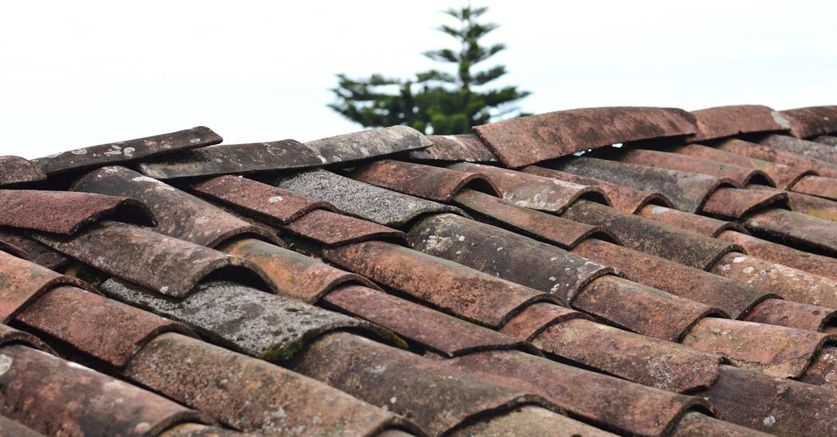 A close up of a tiled roof with a tree in the background by D&D Construction Nottingham, Derby