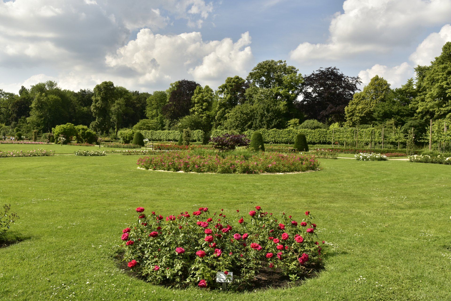 Circular Rose Flowerbeds - Chesapeake, VA - Western Branch Lawn & Landscapes