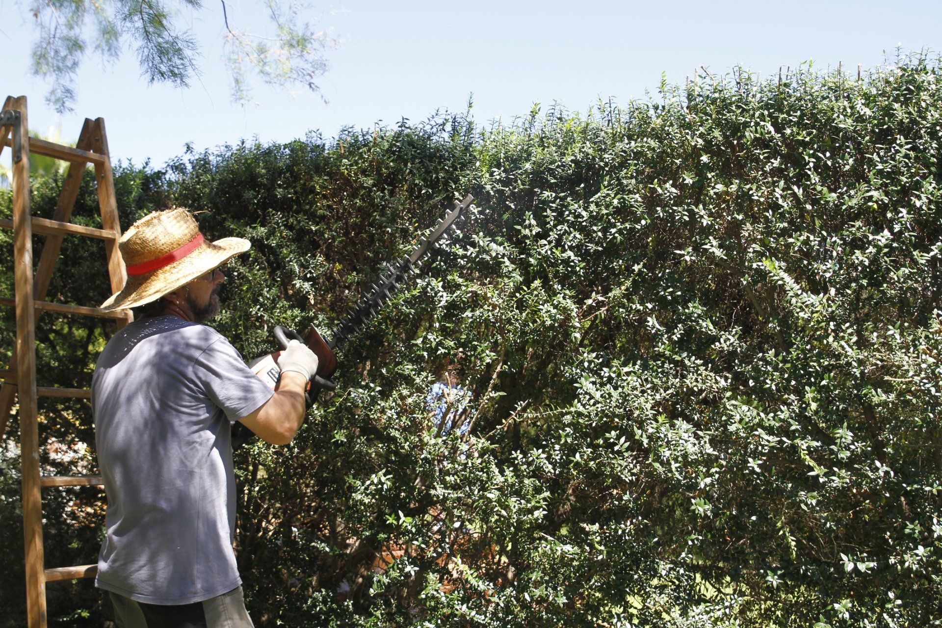 Young Man Gardening - Chesapeake, VA - Western Branch Lawn & Landscapes