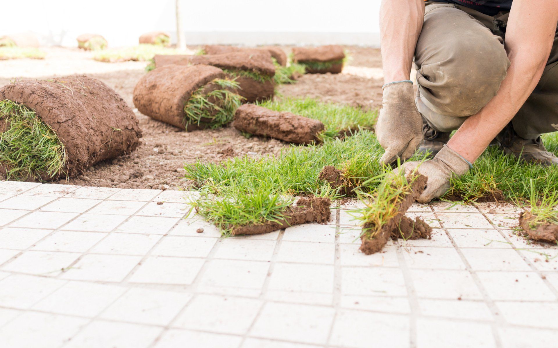 New Grass Turf - Chesapeake, VA - Western Branch Lawn & Landscapes