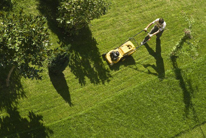 Man Using Lawn Mower - Chesapeake, VA - Western Branch Lawn & Landscapes