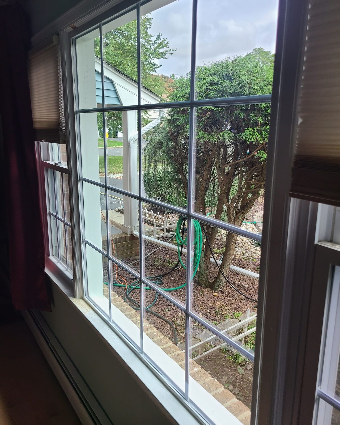 A window with a hose hanging out of it looking out to a yard.