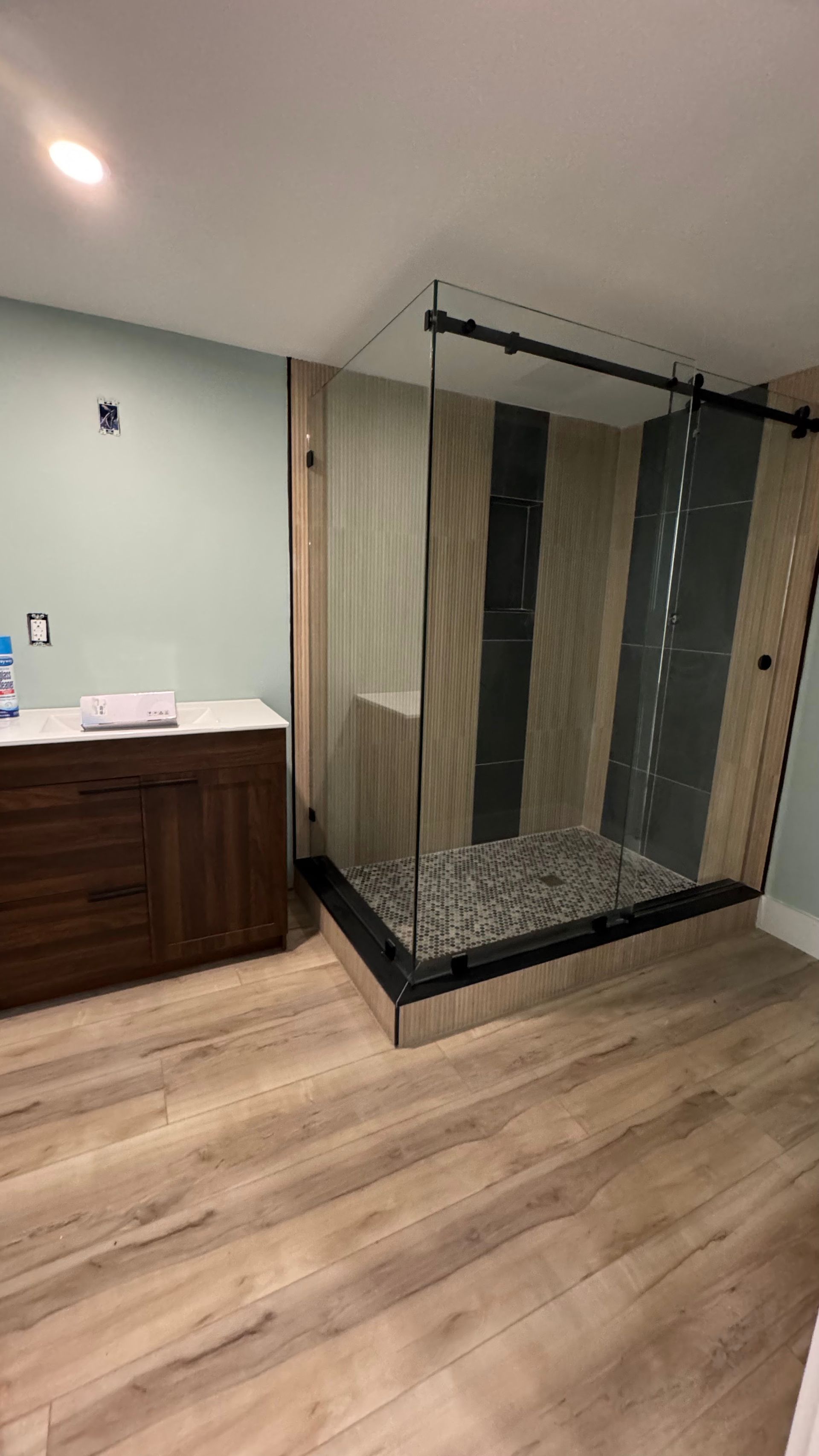 A bathroom with a walk in shower and a sink.