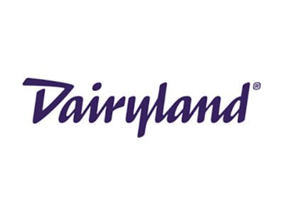 Dairyland logo in dark purple cursive on a white background.