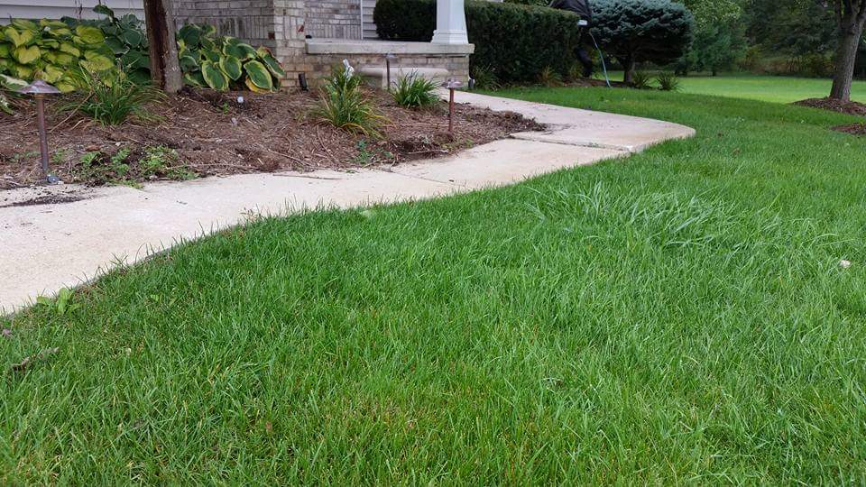 Irwin Concrete Leveling - Before Slabjacking there was a valley in the sidewalk