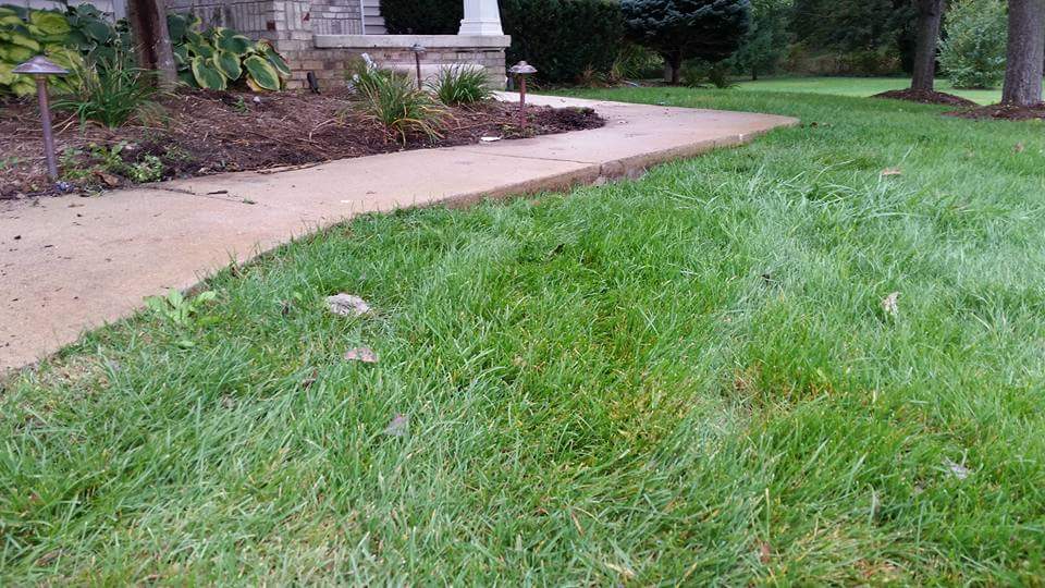 Irwin Concrete Leveling - After Slabjacking the valley has been removed