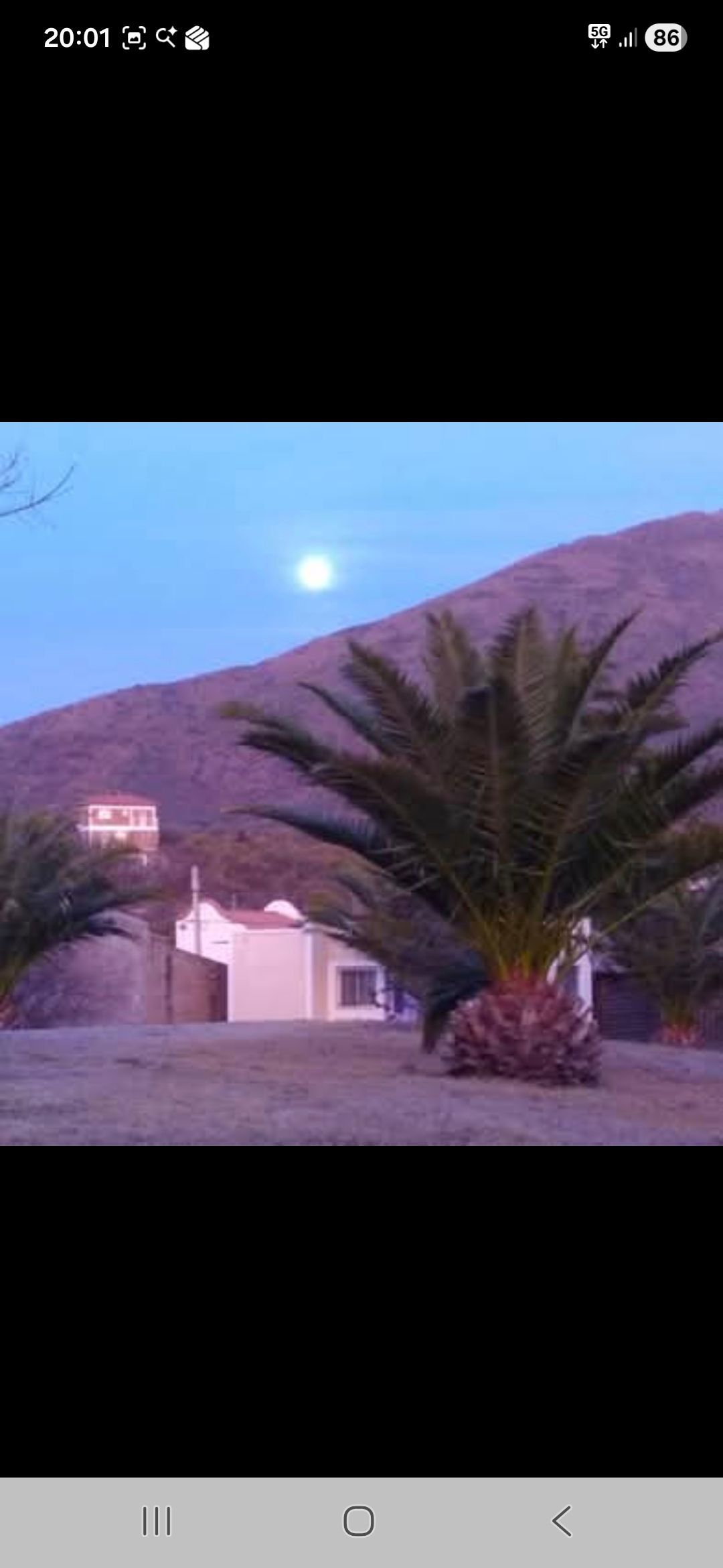 Palmeras frente a un pequeño edificio, con una montaña y la luna al fondo.