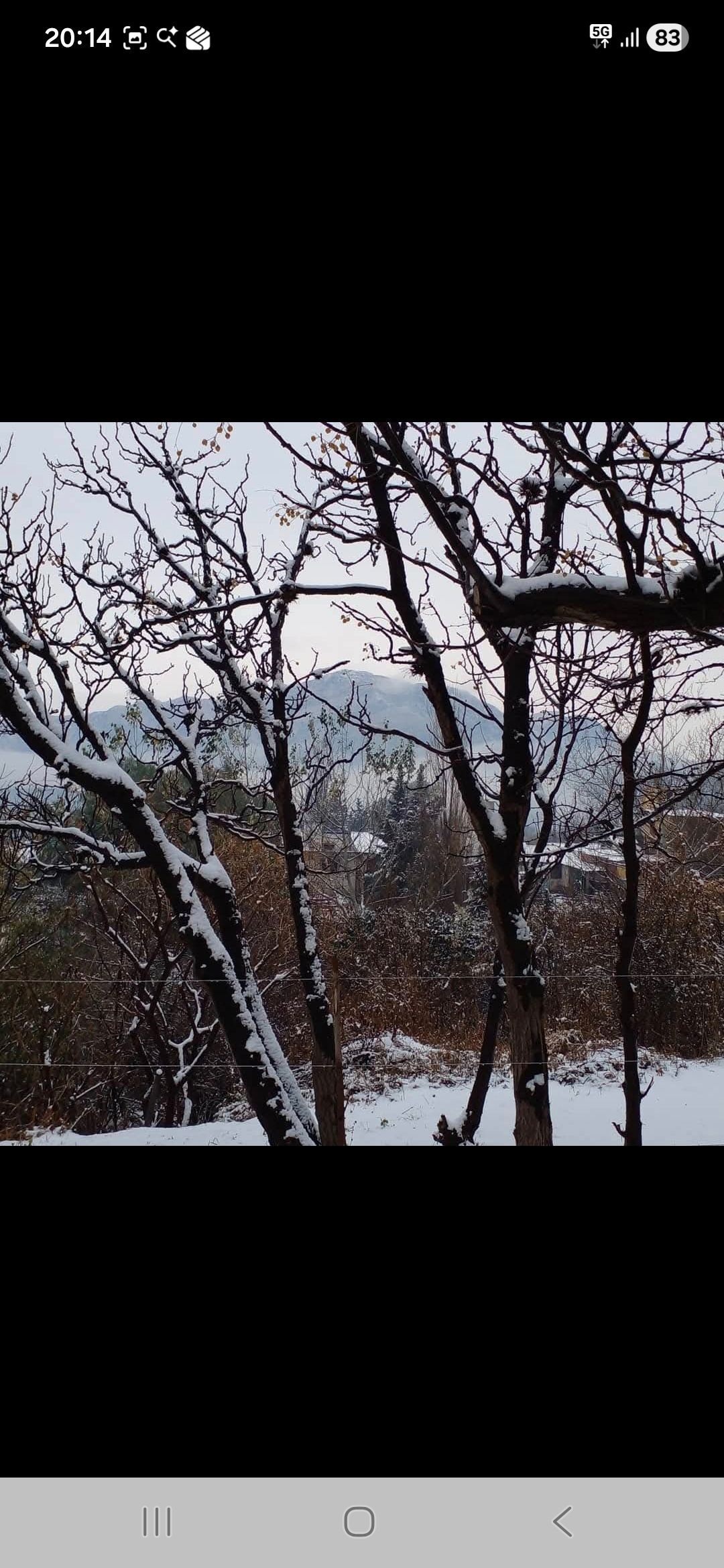 Árboles desnudos cubiertos de nieve enmarcan la vista de un paisaje montañoso nevado y nublado.
