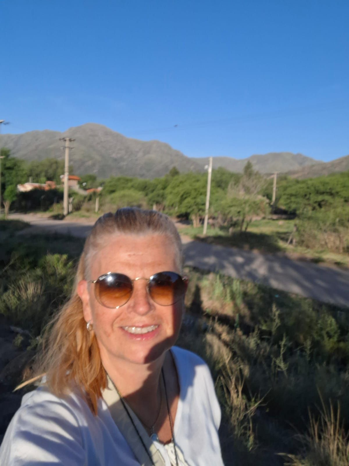 Cristales de cuarzo transparente, lavanda y palitos de palo santo sobre una superficie de madera, con un rayo de sol.