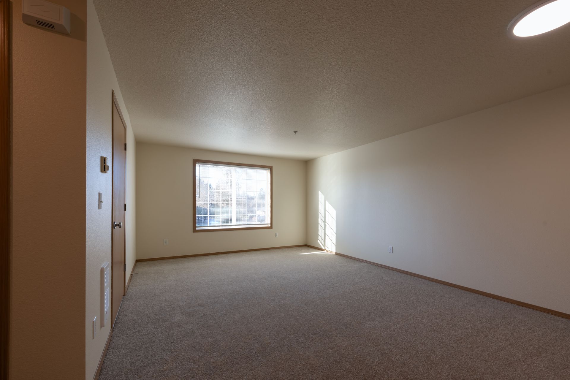 An empty living room with a large window and carpet