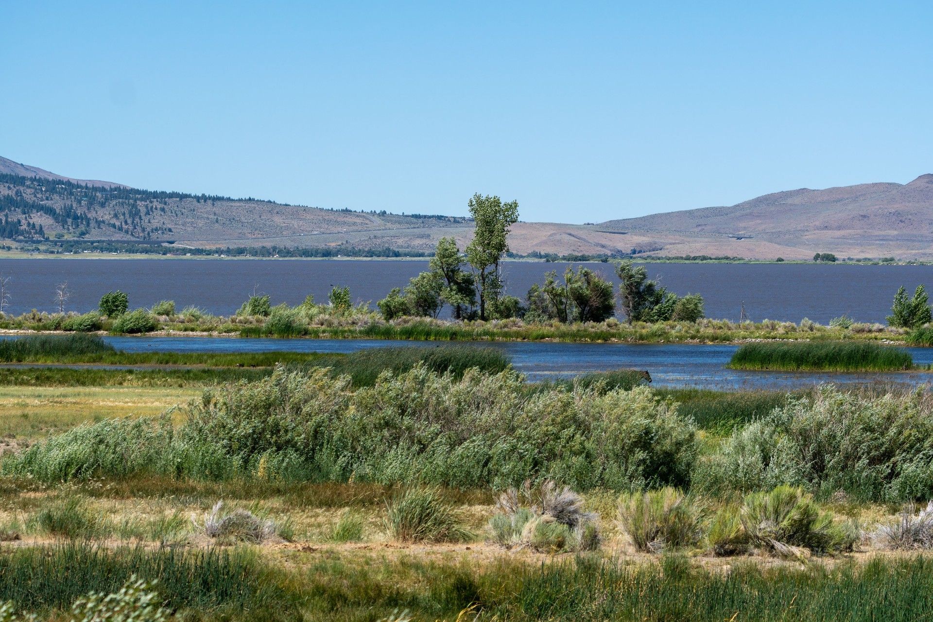 A large body of water surrounded by trees and grass with mountains in the background.