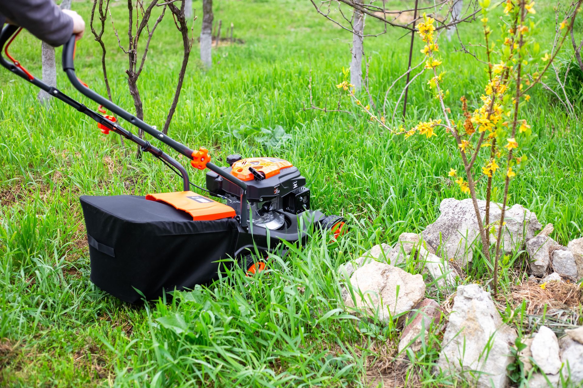 Person mowing tall grass with a lawnmower in a yard with rocks and small trees.